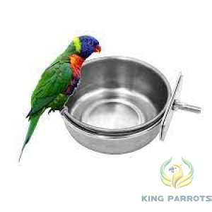 Parrot Small Food Dish